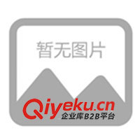 塑料打火機(jī)、金屬打火機(jī)、廣告打火機(jī)、磨砂打火機(jī)(圖)